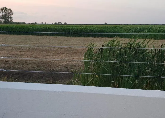 La Maison Du Petit Pin Prázdninový dům