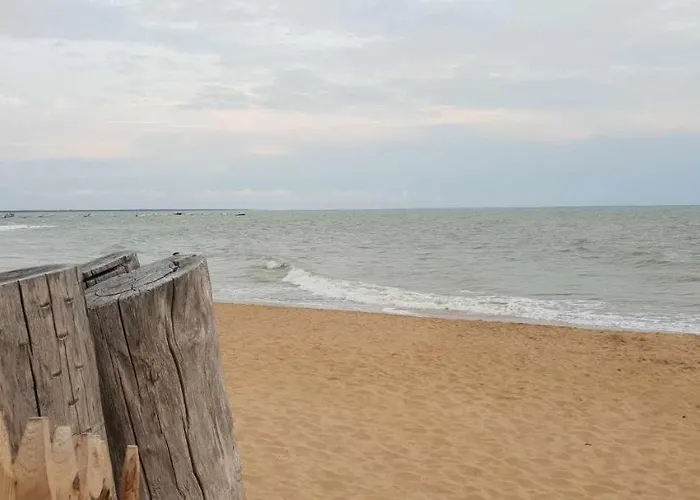 La Maison Du Petit Pin Prázdninový dům *