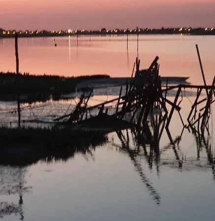 Dom wakacyjny La Maison Du Petit Pin
