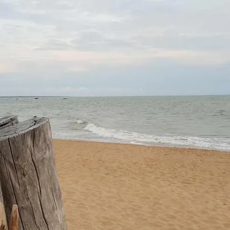 La Maison Du Petit Pin Dom wakacyjny *